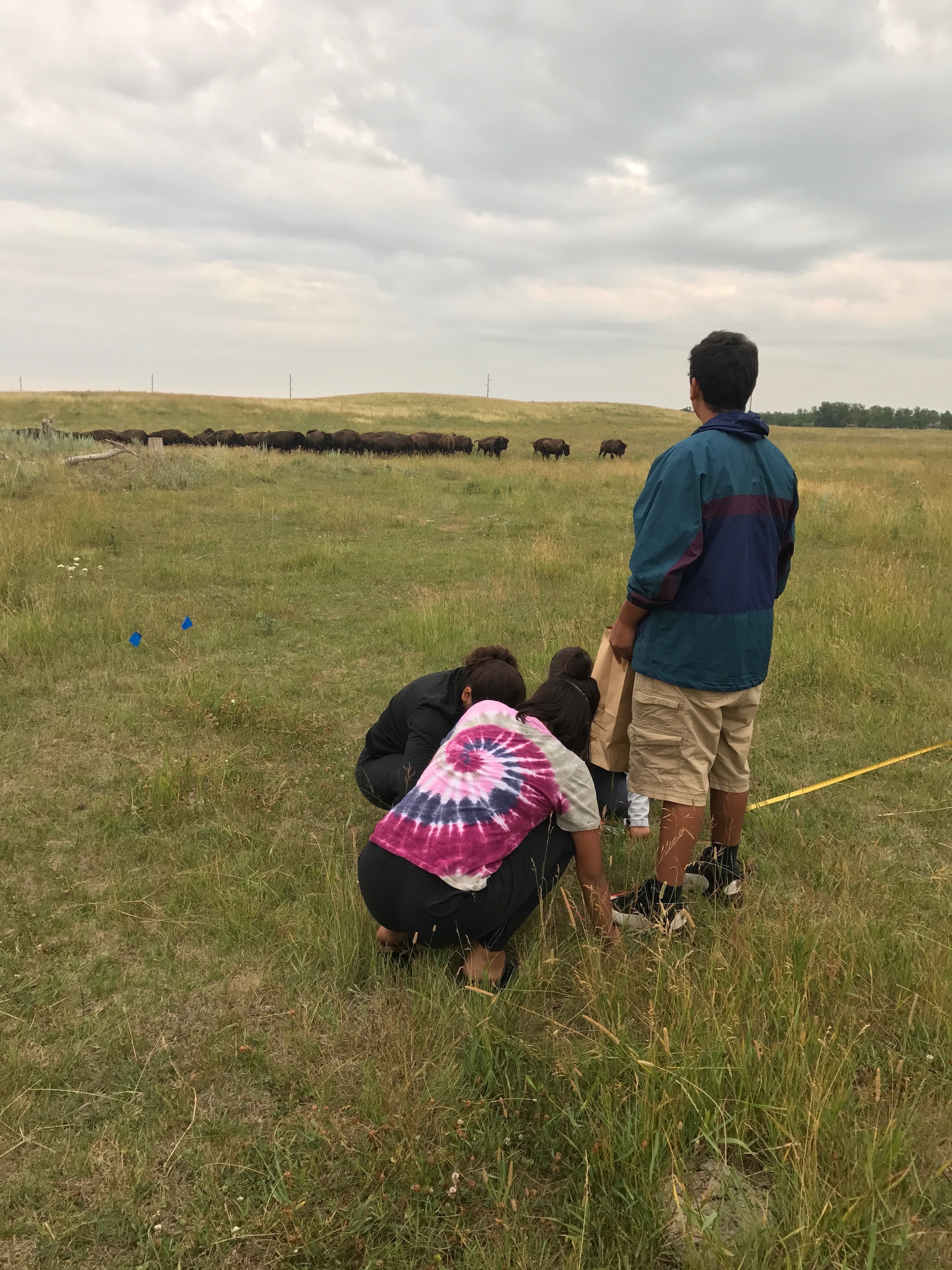 Photo Credit: Megan Eisenfelder, CGH Scholar 2017, Lake Traverse Reservation South Dakota