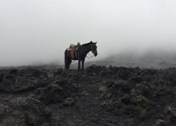 Alisson Baya, submitted to the 2017 CGH Global Health Photography Contest